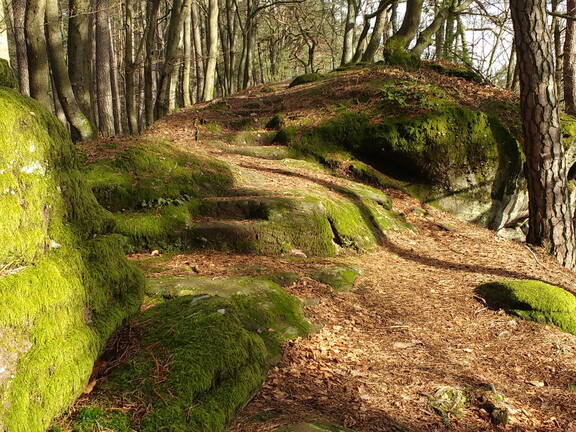 IMG 20190118 124726809